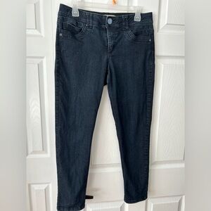 Ab Democracy dark wash skinny jeans